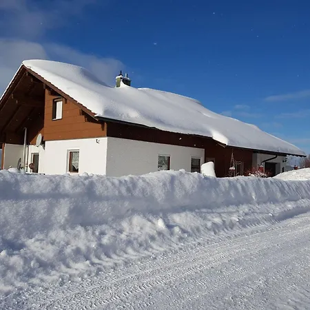 Appartamento Haus Moni By Interhome Haidmühle